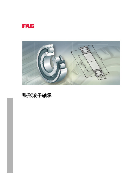 INAFAG轴承样本中文版-交叉滚子轴承(图2)