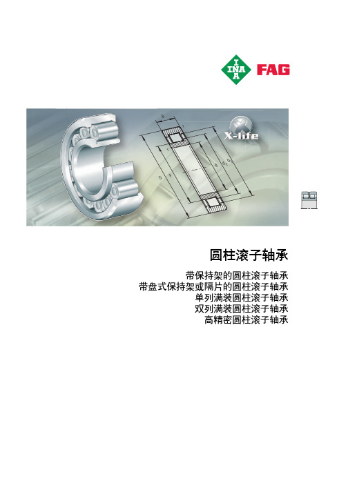 INAFAG轴承样本中文版-交叉滚子轴承(图9)