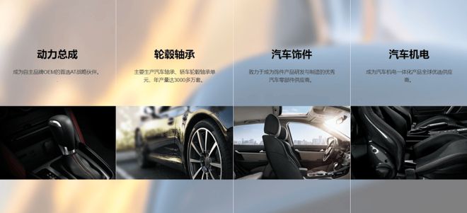 王兴兴带火丝杠双林股份“蹭热度”背后：暂无客户、无收入(图2)
