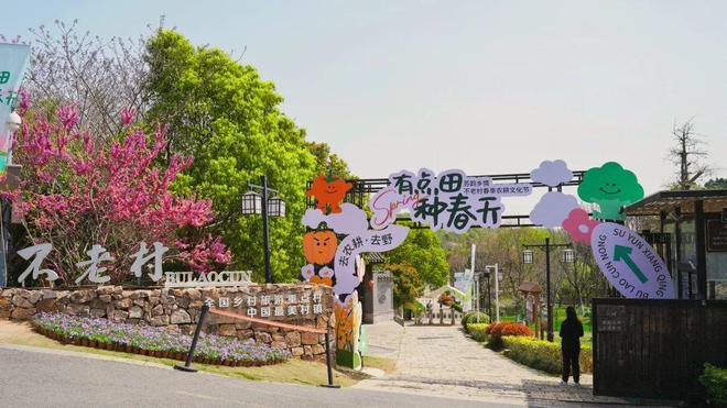 3天30亿文旅新体验带热南京“春日杏彩体育经济”(图7)
