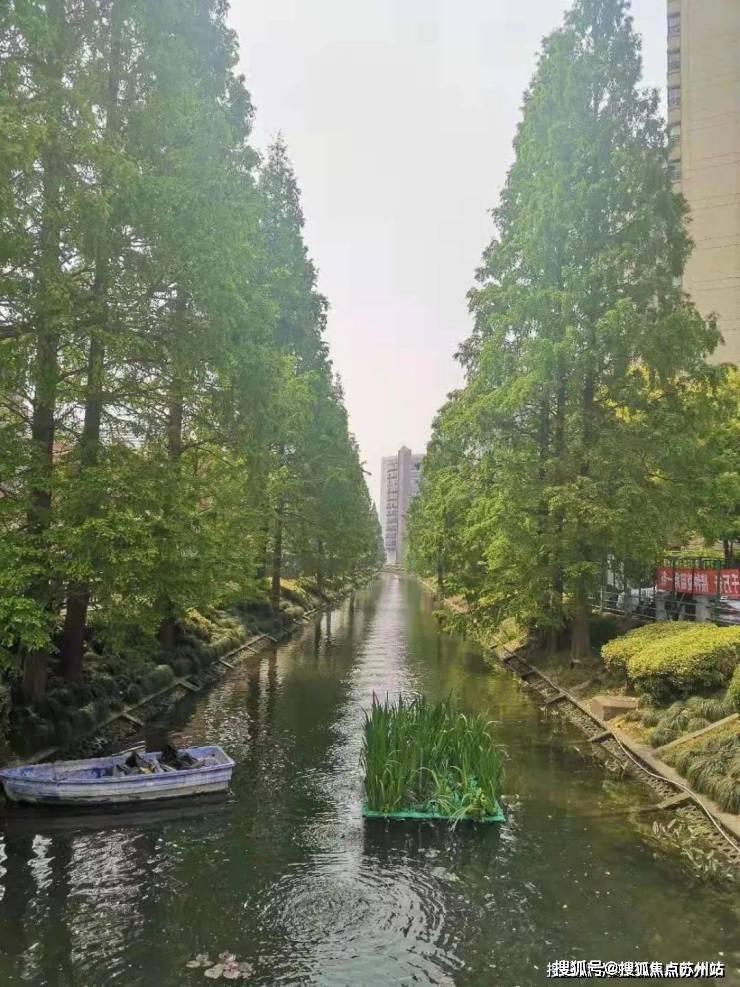 古北99首页网站﻿古北99售楼处欢迎您2025楼盘评测-﻿售楼中心详情户型配套(图17)