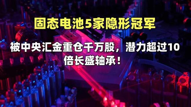 固态电池5家隐形冠军被中央汇金重仓千万股超过10倍长盛轴承(图1)