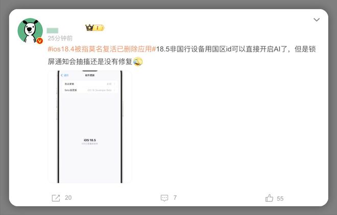 杏彩体育iOS185准正式版推送包体达752GB老机型淘汰信号越来越明显(图5)