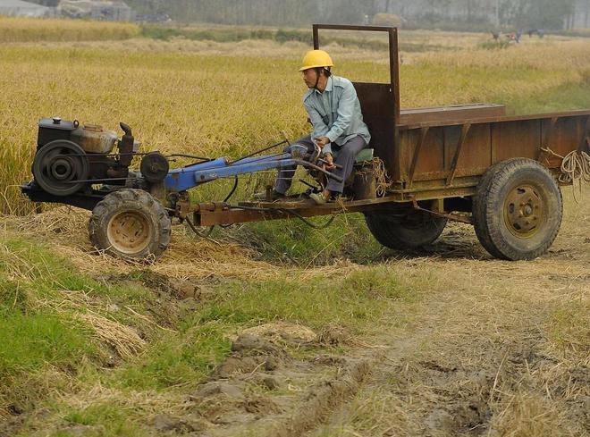 杏彩体育又一中国制造老外抢疯了！海外订单涨10倍欧企慌了：我们的卖谁(图3)