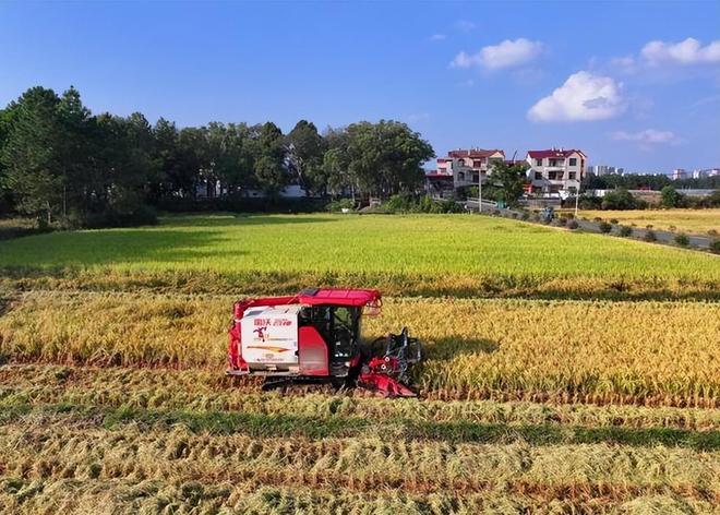 杏彩体育又一中国制造老外抢疯了！海外订单涨10倍欧企慌了：我们的卖谁(图17)