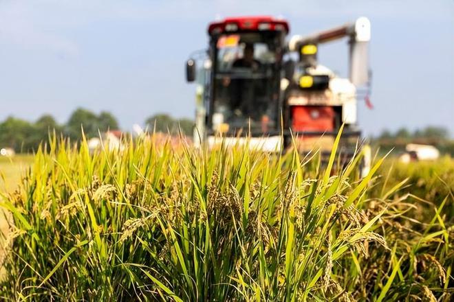 杏彩体育又一中国制造老外抢疯了！海外订单涨10倍欧企慌了：我们的卖谁(图18)